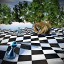 chess-dreams "Chess dreams"